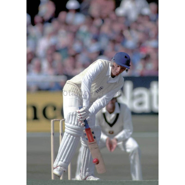 David Gower / England batting in the 3rd Test against Australia in Adelaide | TotalPoster
