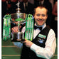 John Higgins Celebrates | Snooker Posters | Totalposter
