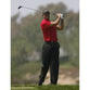 Tiger Woods | Golf Poster | TotalPoster