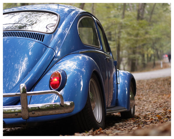 Old Blue VW Beetle in Autumn print | Nature | Totalposter
