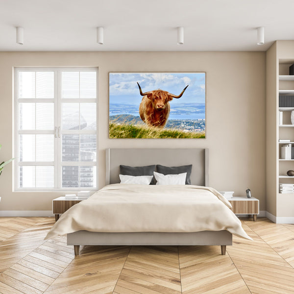 Highland or Skye Cow print/poster - Hairy Skye Coo Horns | Totalposter