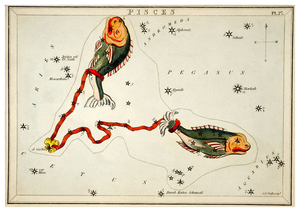 Vintage Pisces Zodiac Illustration | Home Decor | Totalposter