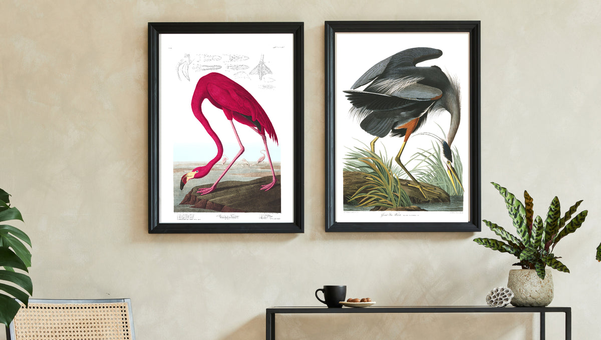 Celebrating the Beauty of Bird Art: Why We Love It So Much