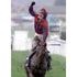 Red Marauder | Horse Racing Posters | TotalPoster