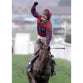 Red Marauder | Horse Racing Posters | TotalPoster
