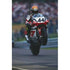 Scott Russell | Motorcycle posters | TotalPoster
