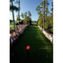 Tiger Woods | Golf Poster | TotalPoster