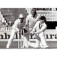 Allan Border | Cricket Posters | TotalPoster