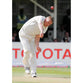 Andrew Flintoff | Cricket Posters | TotalPoster