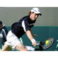 Andrew Murray | Davis Cup Tennis | TotalPoster