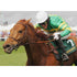 Antony McCoy | Equestrian Sport Posters | TotalPoster