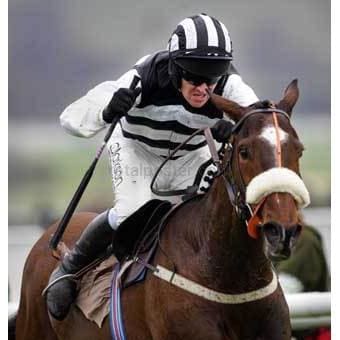 Barry Geraghty | Pósteres de carreras de caballos | TotalPoster