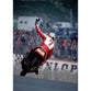 Barry Sheene | Motorcycle Racing Posters | TotalPoster
