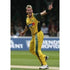Brett Lee takes the wicket of Kevin Pietersen during the NatWest Series Final between England and Australia played at Lord`s Cricket Ground | TotalPoster