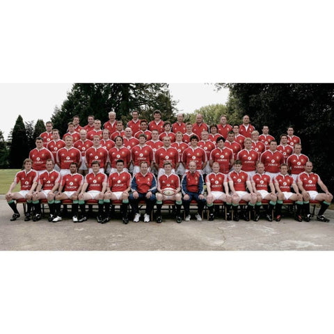 Pósteres de los Leones británicos e irlandeses | Rugby | TotalPoster