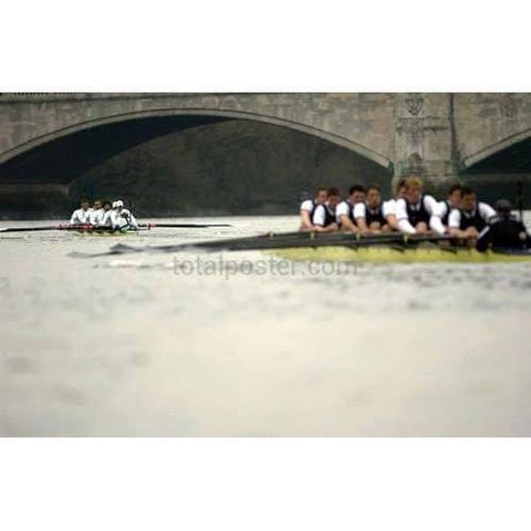 Equipo de Cambridge | Pósteres de carreras de barcos | TotalPoster