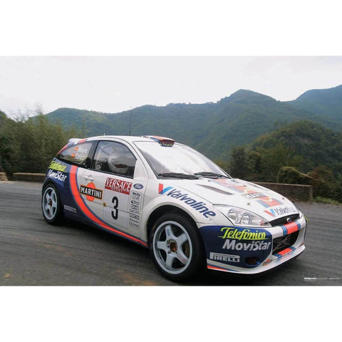 Carlos Sainz | World Rally posters | TotalPoster