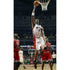 Chris Bosh l Basketball Posters | TotalPoster