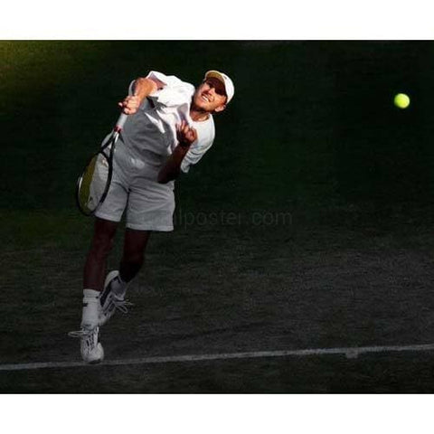 David Nalbandian poster | Wimbledon Tennis | TotalPoster