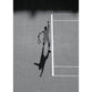 David Nalbandian poster | US Open Tennis | TotalPoster