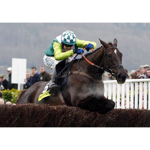 Denman | Pósteres de carreras de caballos | TotalPoster