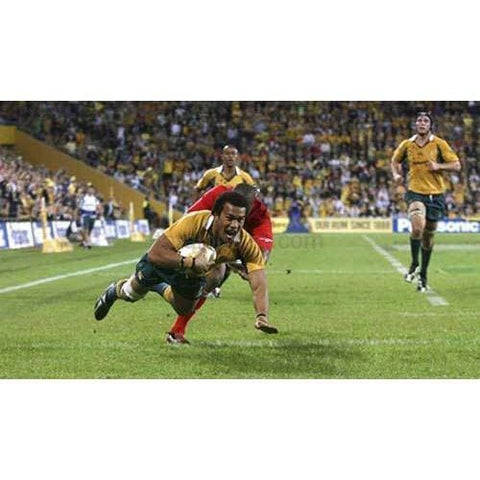 Digby Loane poster |Australia Rugby | TotalPoster