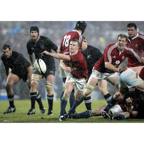 Dwayne Peel posters | British Lions Rugby | TotalPoster