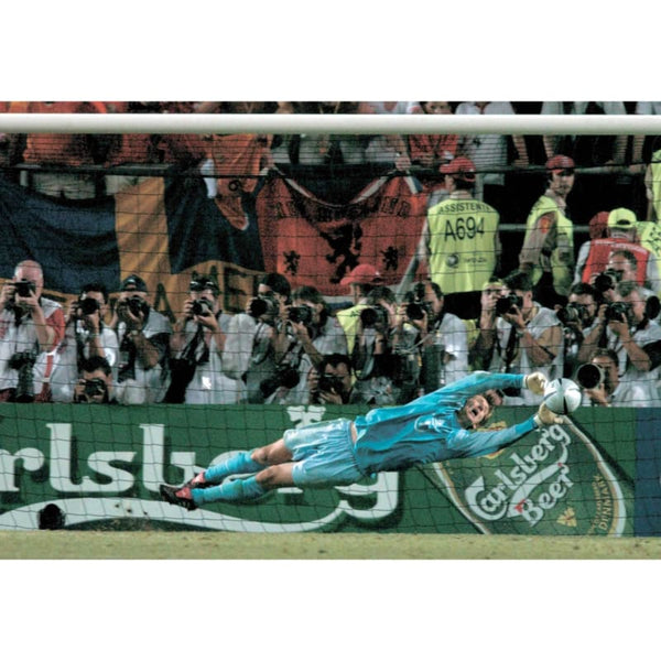 Edwin Van Der Sar | Football Poster | TotalPoster