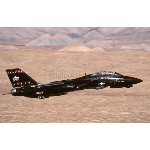 F-14 Gato | Pósters sobre aviones y aviación | TotalPoster