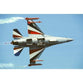 F-16 Falcon | Aircraft & Aviation Posters | TotalPoster