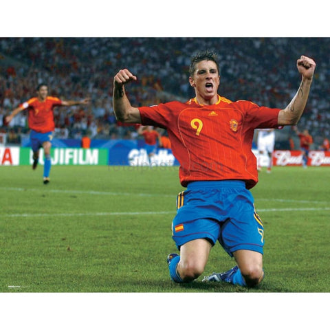Fernando Nelson | Póster de fútbol | TotalPoster