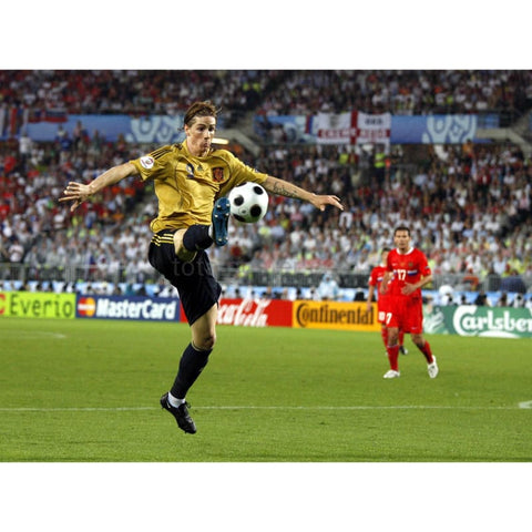 Fernando Torres | Football Poster | TotalPoster
