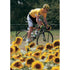 Floyd Landis | Tour de France Posters