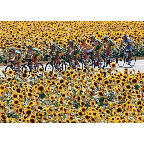 Floyd Landis | Pósteres Tour de Francia