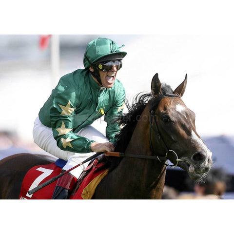 Frankie Dettori | Pósteres de carreras de caballos | TotalPoster