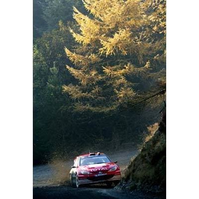 Freddy Loix | World Rally posters | TotalPoster