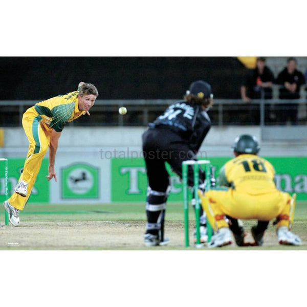 Glenn McGrath bowls with team mate Adam Gilchrist wicketkeeping up at the stumps during the 1st One Day International between New Zealand and Australia at Westpac Stadium in Wellington, New Zealand | TotalPoster