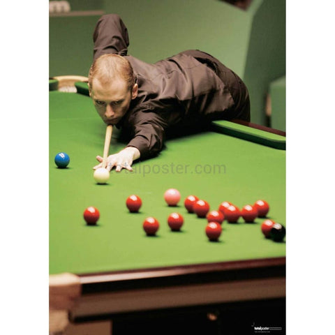 Graeme Dott en acción | Pósteres de billar | cartel total