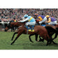 Hardy Eustace | Horse Racing Posters | TotalPoster