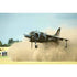 Harrier | Aircraft & Aviation Posters | TotalPoster