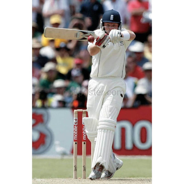 Ian Bell in action during the 2nd Ashes Cricket test between England and Australia at Adelaide | TotalPoster