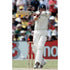 Ian Bell in action during the 2nd Ashes Cricket test between England and Australia at Adelaide | TotalPoster