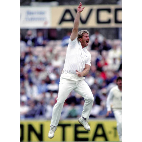 Ian Botham - hand raised in salute leaps in celebration as he sets a new record of test wickets during the New Zealand cricket test at the Oval | TotalPoster