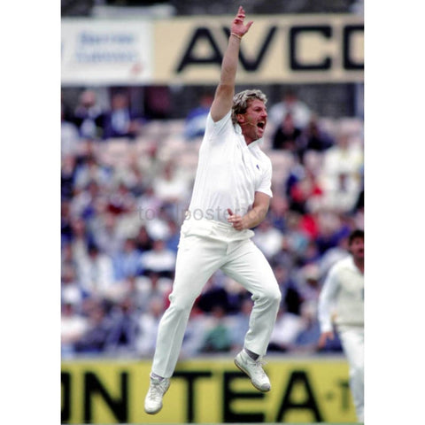 Ian Botham | Carteles de críquet | TotalPoster