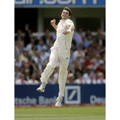 James Anderson celebrates after taking a wicket during the England v India npower Test Series First Test - Lord's | TotalPoster