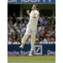 James Anderson celebrates after taking a wicket during the England v India npower Test Series First Test - Lord's | TotalPoster