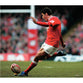 James Hook poster | Wales Rugby | TotalPoster