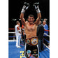 Joe Calzaghe | Boxing Posters | TotalPoster