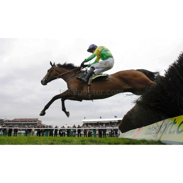 Kauto Star | Horse Racing Posters | TotalPoster