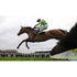 Kauto Star | Horse Racing Posters | TotalPoster